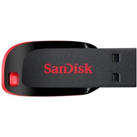 16 GB Sandisk
